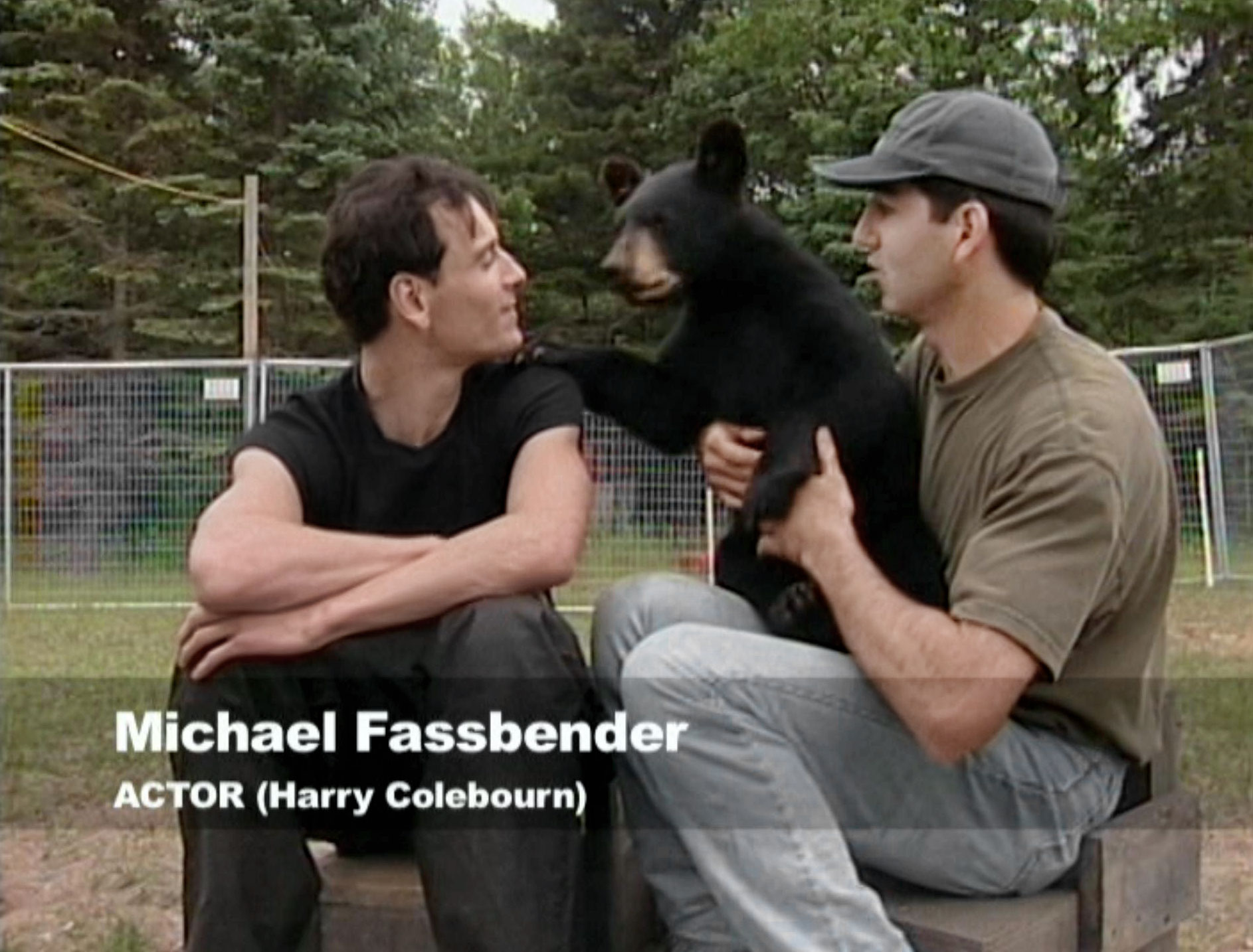 anemedbearwinnie