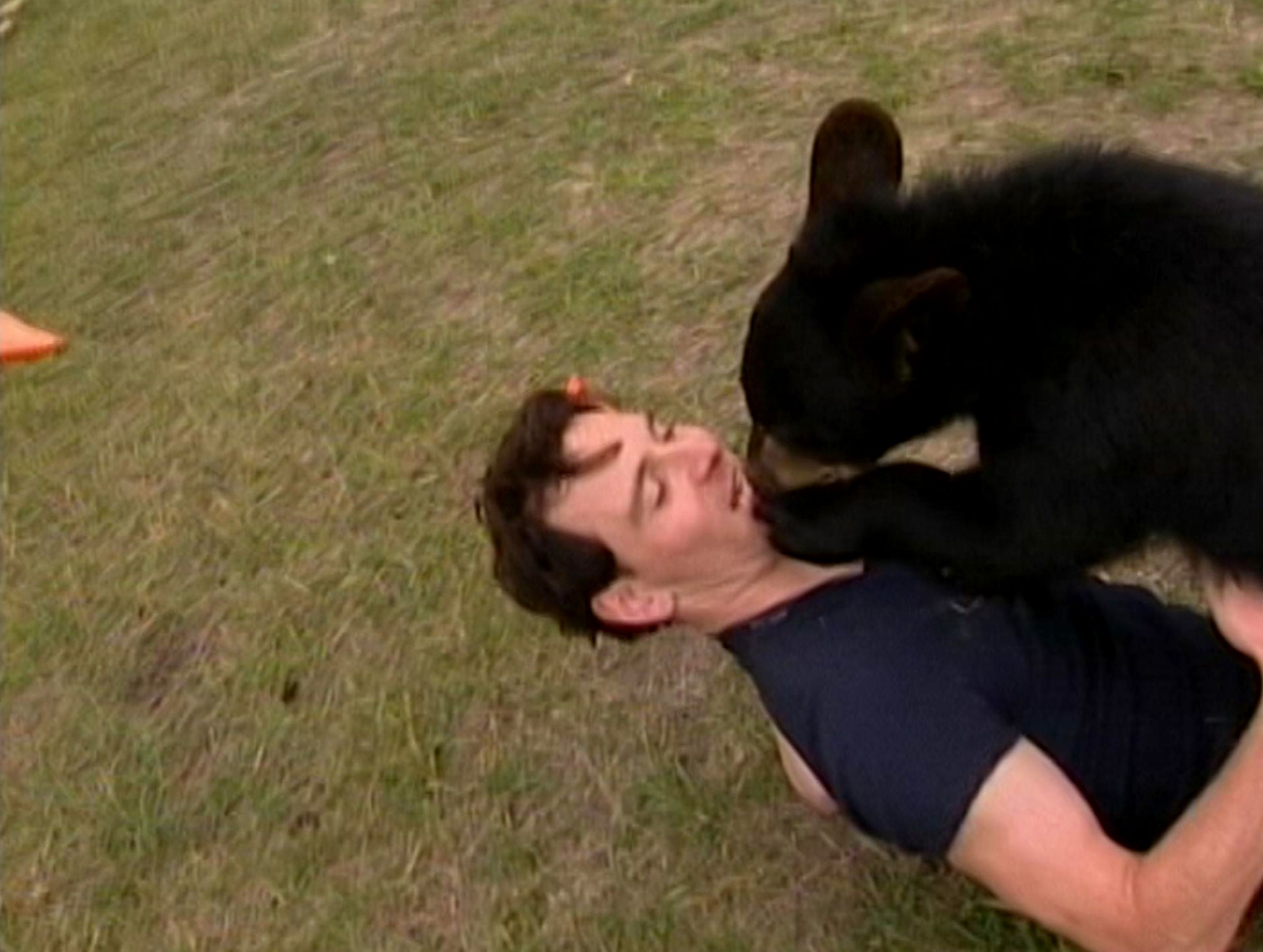 behwinnie