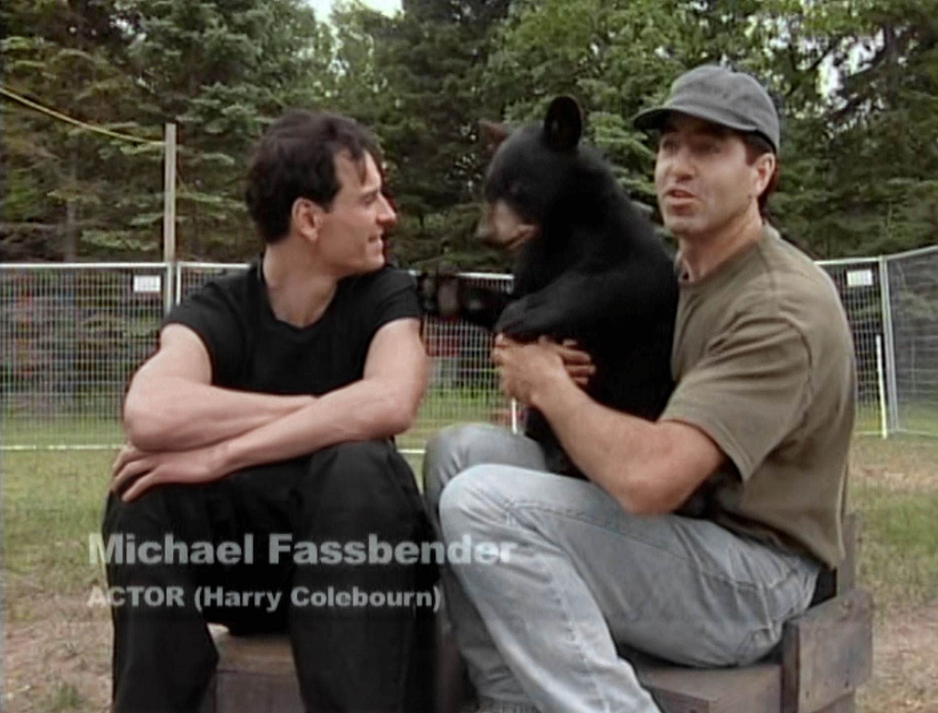 anemedbearwinnie