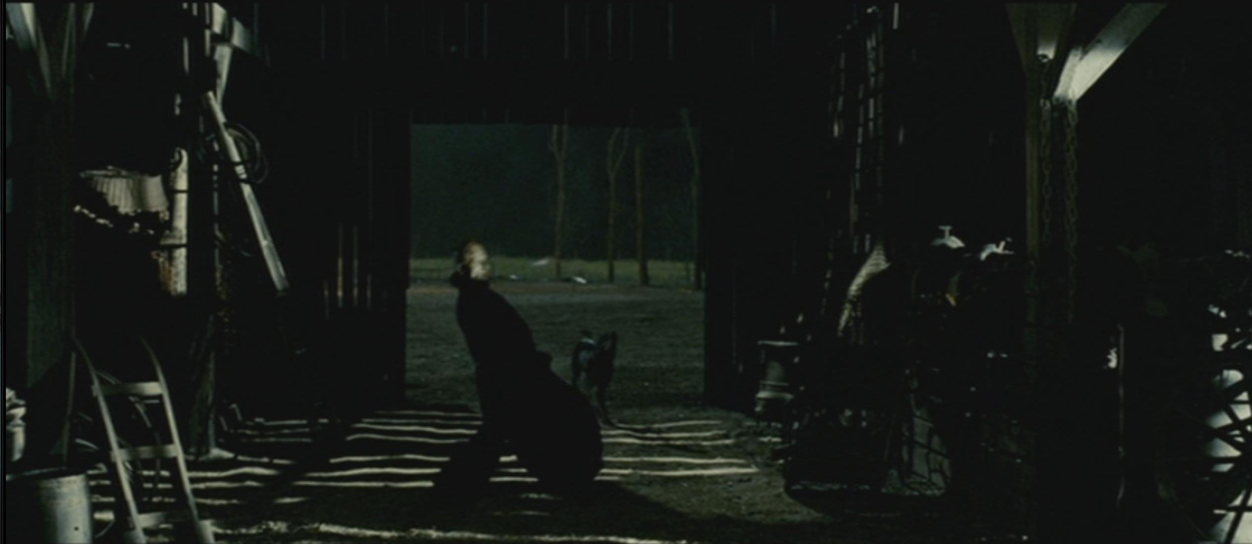 Blood Creek