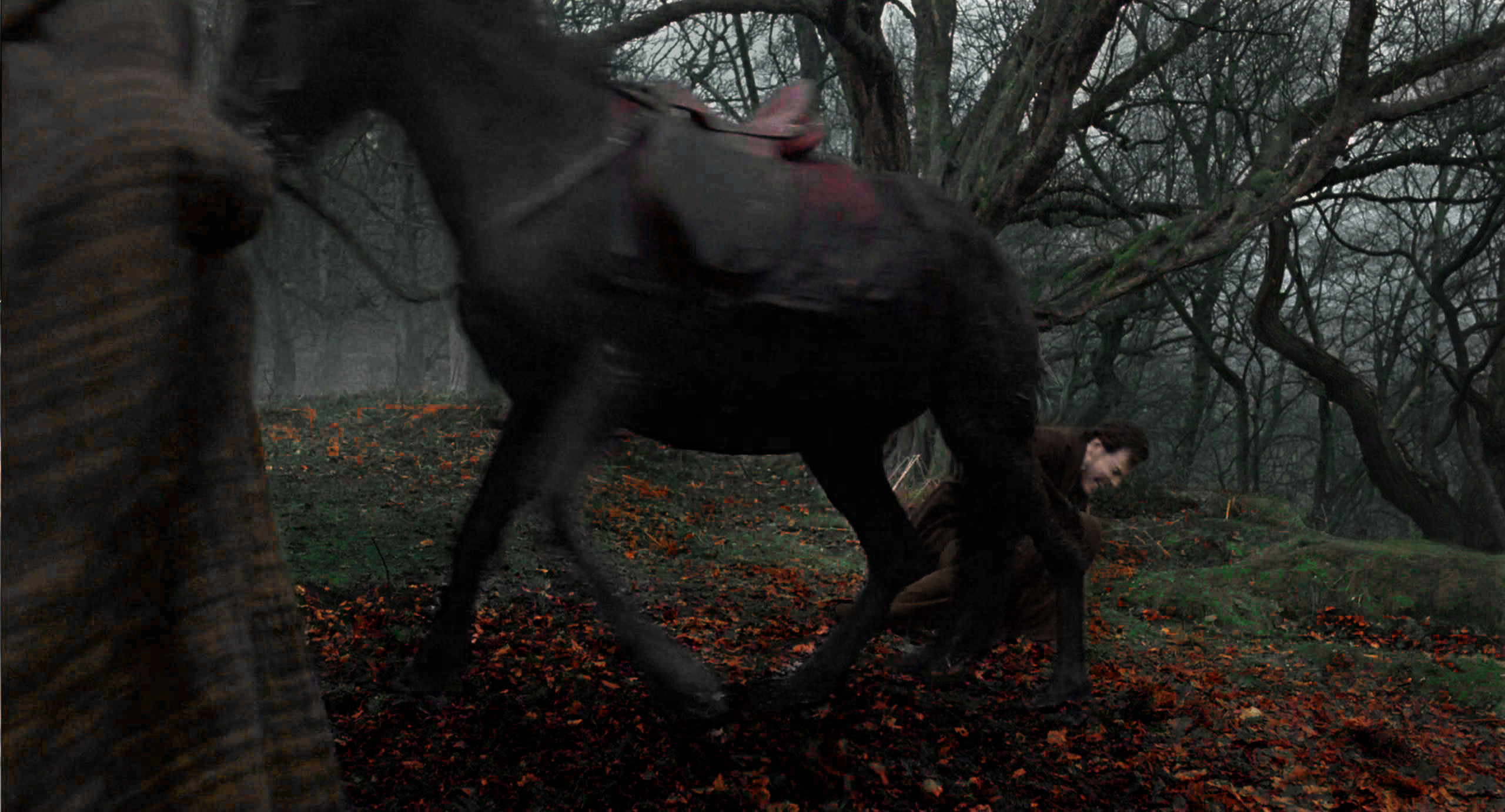 janeeyre