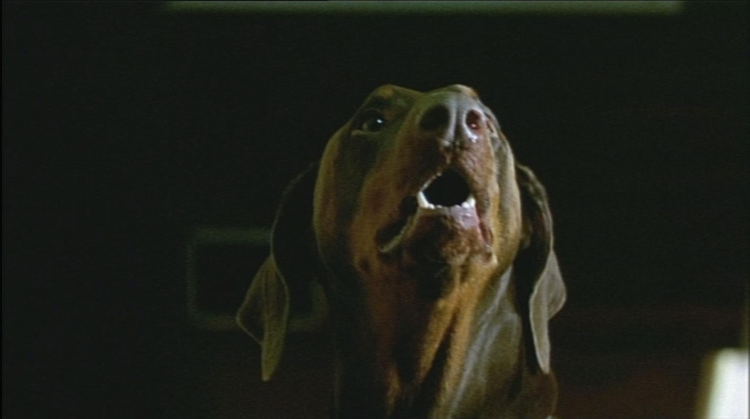 CanIn3